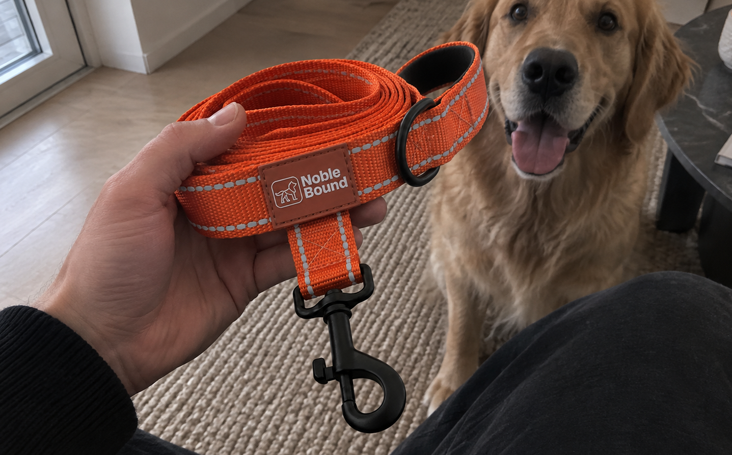 How to Choose the Right Dog Leash: Width, Material & Use