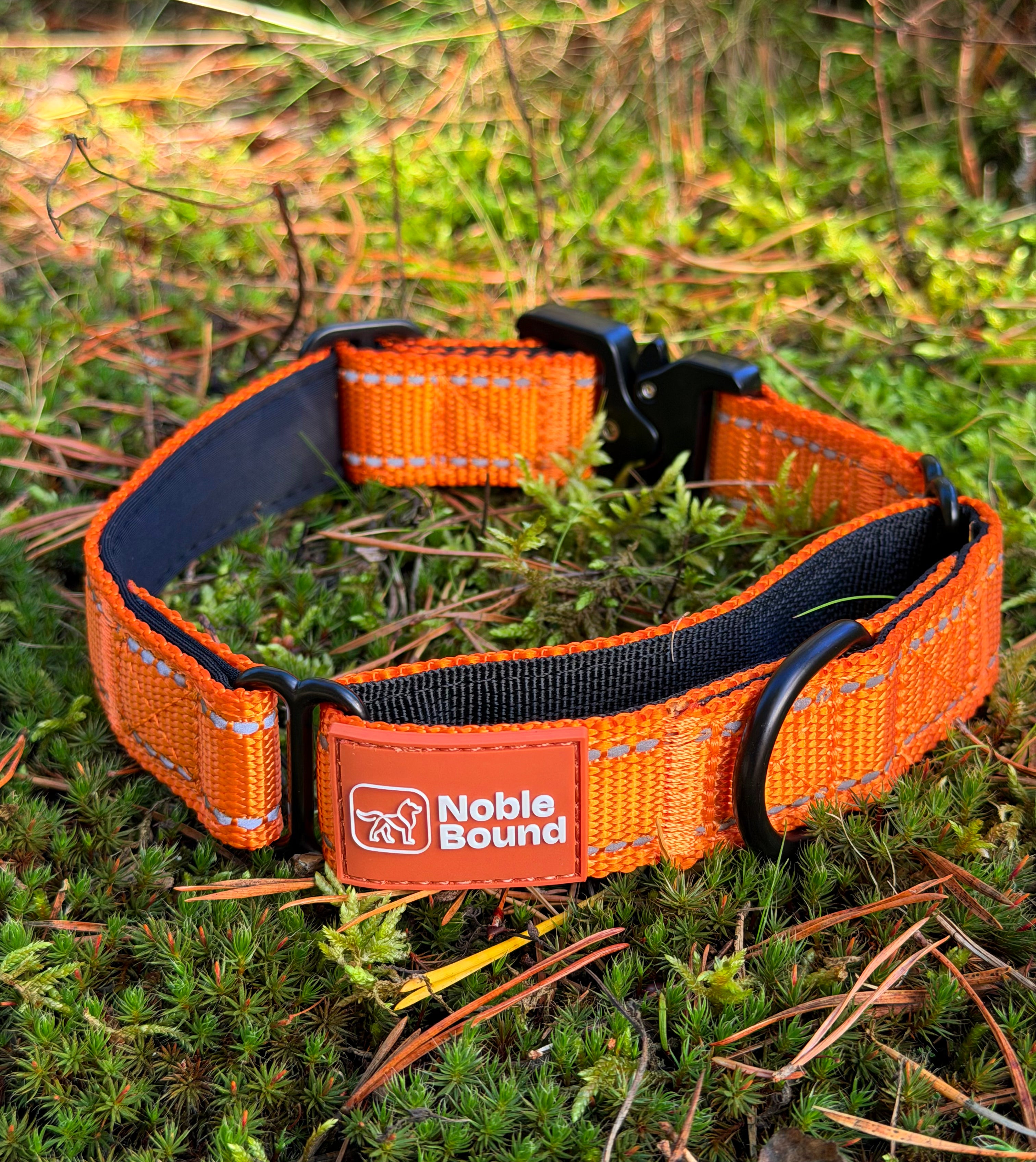 Precision Lead Collar - Hunt